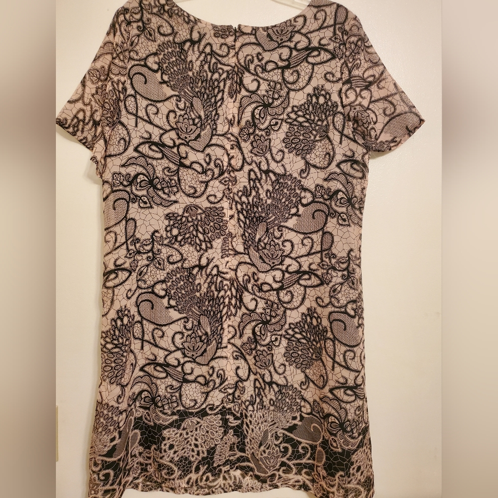 Signature Collection - Picture 2 of 4